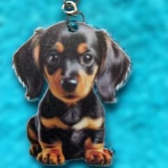 ダックスフンド キーホルダー ミニチュアダックス ダックス 2D 子犬