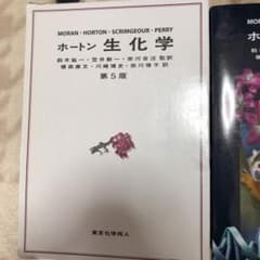 ホートン 生化学のサムネイル