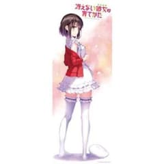 加藤恵 等身大タペストリー 冴えない彼女の育てかた コミケ限定] 冴えない彼女の育てかた 加藤恵 等身大タペストリー C88