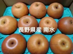 長野県産 南水のサムネイル