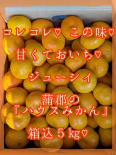 終了間近♡甘♡馬♡ジューシィ♡蒲郡のハウスみかん♡箱込５kg♡ 甘♡馬♡ジューシィ♡幸せの味♡蒲郡のハウスみかん♡箱込5kg