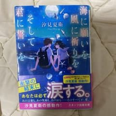 海に願いを 風に祈りを そして君に誓いをのサムネイル