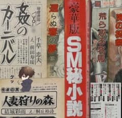 絶版】SMマニア93年1月～8月 性隷販売人①結城彩雨 （挿画 ） 楡