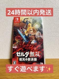 【美品】【動作確認済】ゼルダ無双 厄災の黙示録 Switch ソフト