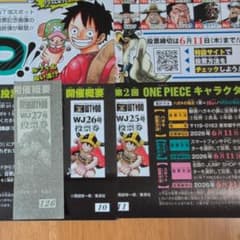 週刊少年ジャンプ 第2回 ワンピース 世界人気投票 WT100 投票券 30枚 週刊少年ジャンプ 第2回 ワンピース 世界人気投票 WT100 投票券 3枚