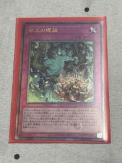 【即日発送可】命王の螺旋　ドミナススパイラルのサムネイル