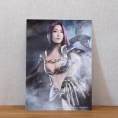 애니메이트 특전 브로마이드 고르곤 (FGO 무대 DVD 구입 특전)