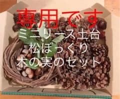 あけびミニリース土台&松ぼっくりと木の実のセットのサムネイル