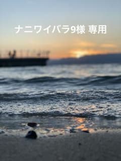 ナニワイバラ9様 リクエスト 2点 まとめ商品