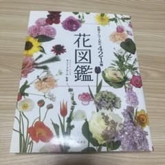 花図鑑 花屋さんで人気の421種のサムネイル
