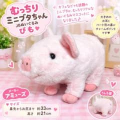むっちりミニブタちゃんJBぬいぐるみ ぴも　Amuseアミューズ