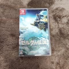 젤다의 전설 티어즈 오브 더 킹덤 Switch
