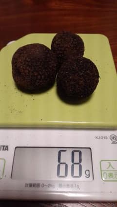 国産トリュフ 3個 68g　商品説明必読！のサムネイル