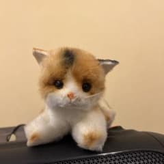 三毛猫 ぬいぐるみ リアル ふわふわのサムネイル