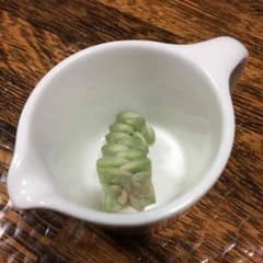 多肉植物 パステル カット苗 小のサムネイル