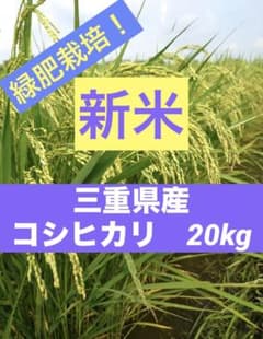 【農家直送】新米 お米 令和8年 緑肥栽培！三重県産 コシヒカリ 白米２０kgのサムネイル