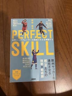 PERFECT SKILL : 世界トッププレーヤーの究極スキルを解説するのサムネイル
