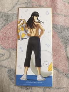 은혼 카츠라 코타로 색지