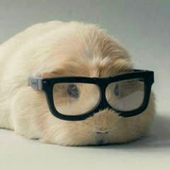 Belieber*JBさん専用のサムネイル