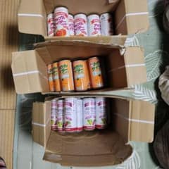 計48本、光食品　アップルサイダー、ぶどうサイダー、みかんサイダー、ヒカリ食品 計48本、光食品 アップルサイダー、ぶどうサイダー、みかんサイダー