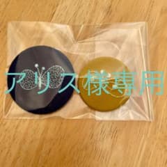 アリス様専用　mina perhonen ブローチセットのサムネイル