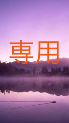 スタイルフィット 替芯 10本セットのサムネイル