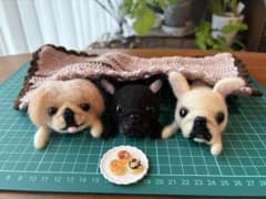 sawochan様専用ページのサムネイル