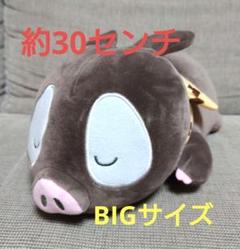 らんま1/2　ましゅもっちぬいぐるみ　Pちゃん Amazon.co.jp: らんま1 2 ましゅもっち ぬいぐるみ Pちゃん