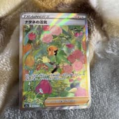 ナタネの活気　sarのサムネイル
