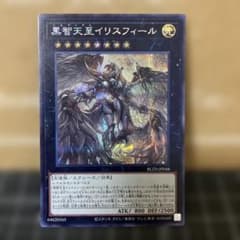 遊戯王 黒智天至イリスフィール シークレットレア 1枚 - メルカリ