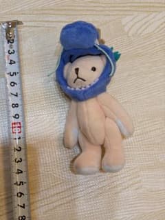 タリーズ 福袋　2024 辰　テディ ベア ベアフル くま　TULLY'S