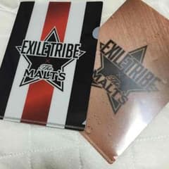 ____18様専用 EXILETRIBE モルツ クリアファイルのサムネイル
