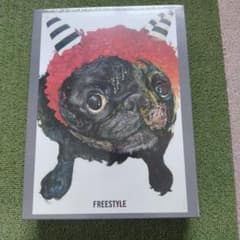 ジグソーパズル　大野智　展覧会　パグ　希少　嵐 嵐 大野智 個展グッズ【FREESTYLE 2020】ジグソーパズル - メルカリ