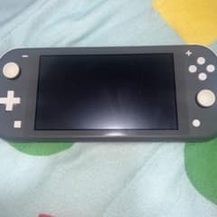 Nintendo Switch Lite グレー 本体のサムネイル