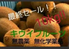 キウイフルーツ 10kg 無農薬 最終セール！のサムネイル