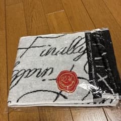 安室奈美恵ツアーグッズ25周年記念 Finally タオル - メルカリ