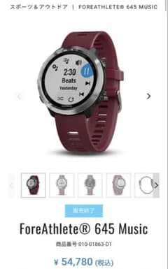 GARMIN ForeAthlete 645 Music 付属品完備のサムネイル