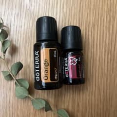超メルカリ市期間出品 doTERRA ドテラ　エスケープシリーズ ホリデートリオ 新品】doTERRA オレンジ15ml ホリデーラブ5ml ドテラ オイル - メルカリ