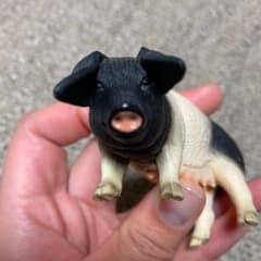 シュライヒフィギュア（ブタ）のサムネイル
