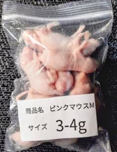 送料無料　冷凍ピンクマウスM20匹のサムネイル