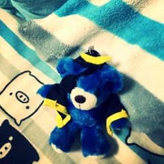 くまのぬいぐるみのサムネイル