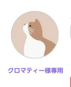 ハンドメイド絵画 クロマティー様専用のサムネイル
