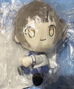 THE IDOLM@STER SideM 아키즈키 료 봉제인형 외출 안아