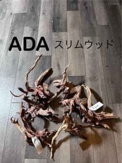 ②ADAスリムウッド 7本 未使用 30〜45㎝水槽用 - メルカリ