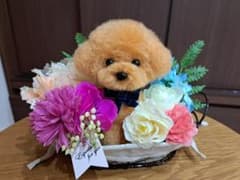 羊毛フェルトオーダー　花かごＭサイズ m77884774513_1.jpg?1731896530