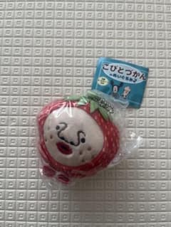 こびとづかん ぬいぐるみ２イチゴクレナイのサムネイル