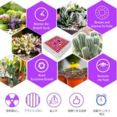 植物育成ライト　LED ライト　照明　1200wのサムネイル