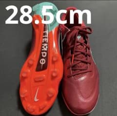NIKE ティエンポレジェンド9 FG 28.5cm 146 - メルカリ
