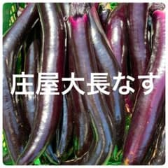 採れたて新鮮　庄屋大長 傷・曲がり有り80サイズ入るだけ入れます！のサムネイル