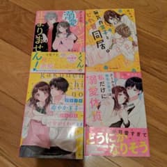 クールなヤンキーくんの溺愛が止まりません!のサムネイル